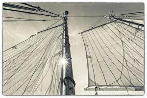 Images Dated 4th September 2017: USA, Massachusetts, Cape Ann, Gloucester. Gloucester Schooner Festival, schooner sails
