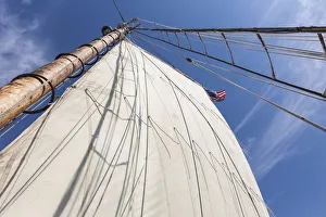 Images Dated 4th September 2017: USA, Massachusetts, Cape Ann, Gloucester. Gloucester Schooner Festival, schooner sails