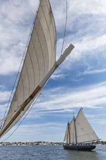 Images Dated 4th September 2017: USA, Massachusetts, Cape Ann, Gloucester. Gloucester Schooner Festival, schooners