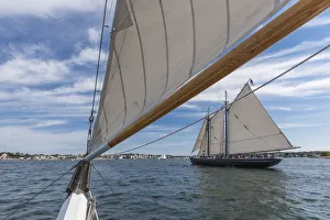 Images Dated 4th September 2017: USA, Massachusetts, Cape Ann, Gloucester. Gloucester Schooner Festival, schooners