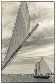Images Dated 4th September 2017: USA, Massachusetts, Cape Ann, Gloucester. Gloucester Schooner Festival, schooners