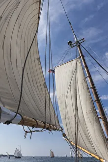 Images Dated 4th September 2017: USA, Massachusetts, Cape Ann, Gloucester. Gloucester Schooner Festival, schooner sails