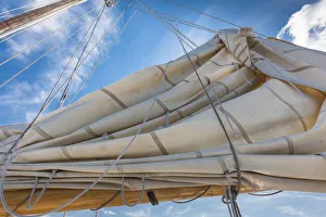 Images Dated 4th September 2017: USA, Massachusetts, Cape Ann, Gloucester. Gloucester Schooner Festival, schooner sails