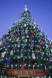 Prints of USA, Massachusetts, Cape Ann, Gloucester. Christmas Tree made of lobster traps Images Dated 2017 December: USA, Massachusetts, Cape Ann, Gloucester. Christmas Tree made of lobster traps