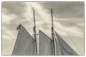 Images Dated 4th September 2017: USA, Massachusetts, Cape Ann, Gloucester. Gloucester Schooner Festival, schooner sails