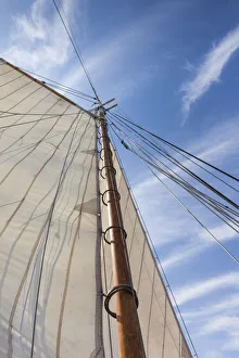 Images Dated 4th September 2017: USA, Massachusetts, Cape Ann, Gloucester. Gloucester Schooner Festival, schooner sails