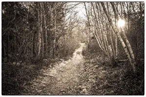 USA, Massachusetts, Cape Ann, Gloucester. Dogtown Commons