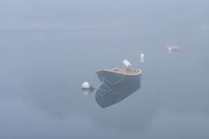 USA, Massachusetts, Cape Ann, Gloucester. Annisquam Harbor, boats in fog