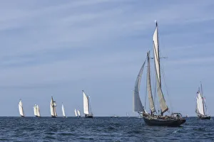 Transportation Prints: USA, Massachusetts, Cape Ann, Gloucester. Gloucester Schooner Festival