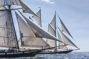 Transportation Prints: USA, Massachusetts, Cape Ann, Gloucester. Gloucester Schooner Festival