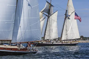 Transportation Prints: USA, Massachusetts, Cape Ann, Gloucester. Gloucester Schooner Festival
