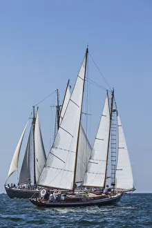 Transportation Prints: USA, Massachusetts, Cape Ann, Gloucester. Gloucester Schooner Festival