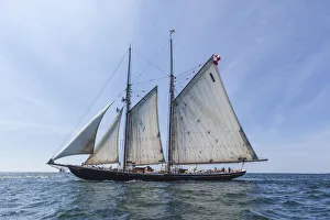 Transportation Prints: USA, Massachusetts, Cape Ann, Gloucester. Gloucester Schooner Festival
