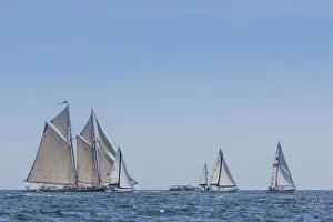 Transportation Prints: USA, Massachusetts, Cape Ann, Gloucester. Gloucester Schooner Festival
