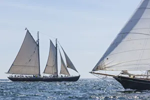 Transportation Prints: USA, Massachusetts, Cape Ann, Gloucester. Gloucester Schooner Festival