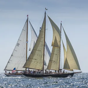 Transportation Prints: USA, Massachusetts, Cape Ann, Gloucester. Gloucester Schooner Festival