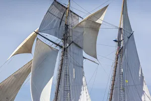 Transportation Prints: USA, Massachusetts, Cape Ann, Gloucester. Gloucester Schooner Festival, schooner sails