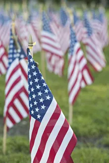 USA, Massachusetts, Cape Ann, Gloucester. US flags