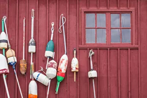 Prints of USA, Massachusetts, Cape Ann, Rockport. Lobster buoys Images Dated 2017 December: USA, Massachusetts, Cape Ann, Rockport. Lobster buoys