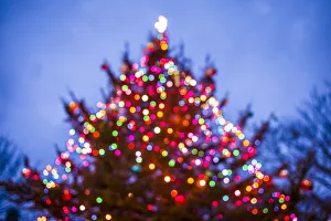Prints of USA, Massachusetts, Cape Ann, Rockport. Defocused Christmas tree Images Dated 2017 December: USA, Massachusetts, Cape Ann, Rockport. Defocused Christmas tree