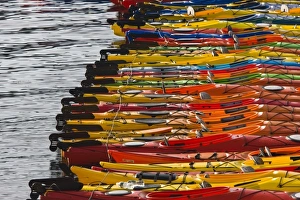 Images Dated 28th August 2008: USA, Massachusetts, Cape Ann, Rockport. Ocean kayaks