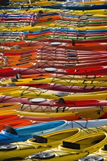 Sea Kayak Prints: USA, Massachusetts, Cape Ann, Rockport. Ocean kayaks