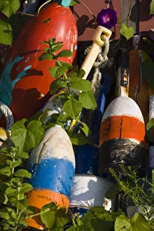 Images Dated 28th August 2008: USA, Massachusetts, Cape Ann, Rockport. Lobster buoys