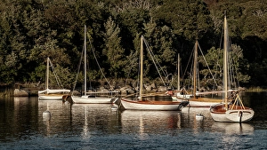 Sailboat Prints: USA, Massachusetts, Cape Cod, Falmouth. Vintage sailboats moored in Quissett Harbor