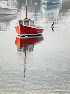 Buoy Prints: USA, Massachusetts, Cape Cod, Harwich Port. Boats moored in Wychmere Harbor