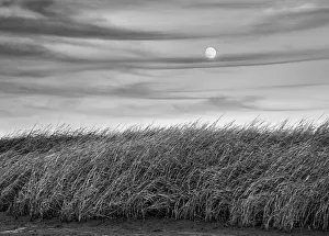 Moonrise Prints: USA, Massachusetts, Cape Cod, Full moon rising at First Encounter Beach