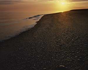 USA, Massachusetts, Cape Cod National Seashore, Beach at sunrise
