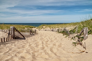 Path Prints: USA, Massachusetts, Cape Cod, Provincetown