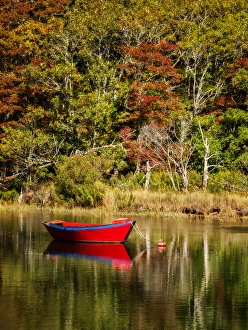 Buoy Prints: USA, Massachusetts, Cape Cod, Red dory on Herring River