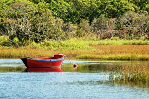 Marsh Prints: USA, Massachusetts, Cape Cod, West Harwich