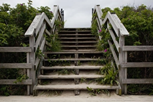 Still Prints: USA, Massachusetts, Chatham Beach, Wooden steps from sand beach to parking lot along