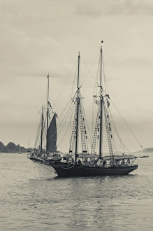 Images Dated 1st September 2013: USA, Massachusetts, Gloucester, Schooner Festival, schooners in Gloucester Harbor