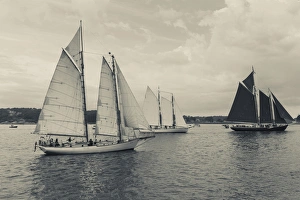 USA, Massachusetts, Gloucester, Schooner Festival, schooners in Gloucester Harbor
