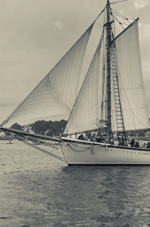 USA, Massachusetts, Gloucester, Schooner Festival, schooners in Gloucester Harbor