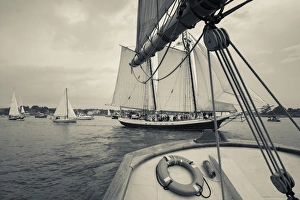 USA, Massachusetts, Gloucester, Schooner Festival, schooners in Gloucester Harbor