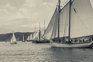 USA, Massachusetts, Gloucester, Schooner Festival, schooners in Gloucester Harbor