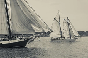 USA, Massachusetts, Gloucester, Schooner Festival, schooners in Gloucester Harbor