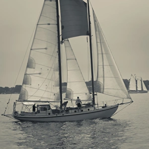USA, Massachusetts, Gloucester, Schooner Festival, sail boats