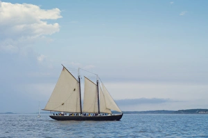 Images Dated 1st September 2013: USA, Massachusetts, Gloucester, Schooner Festival, schooners in Gloucester Harbor