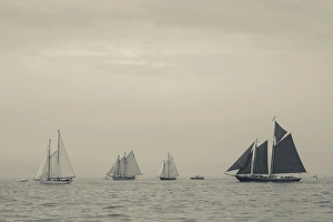 USA, Massachusetts, Gloucester, Schooner Festival, schooners in Gloucester Harbor