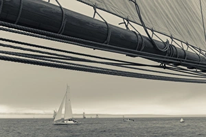 Images Dated 1st September 2013: USA, Massachusetts, Gloucester, Schooner Festival, schooners in Gloucester Harbor