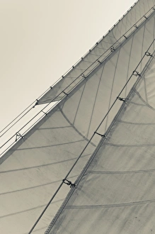 Images Dated 1st September 2013: USA, Massachusetts, Gloucester, Schooner Festival, sails and masts