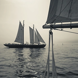 USA, Massachusetts, Gloucester, Schooner Festival, schooners in Gloucester Harbor