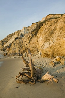 Images Dated 17th September 2006: USA-MASSACHUSETTS-Marthas Vineyard: Aquinnah / Gay Head- Gay Head Cliffs