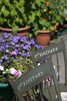 USA, MASSACHUSETTS, Marthas Vineyard: North Tisbury, Vineyard Chairs