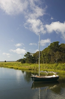 Images Dated 19th September 2006: USA, MASSACHUSETTS, Marthas Vineyard: Oak Bluffs, Small Sailboat on Sengekontacket